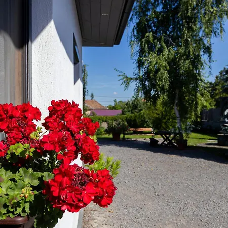 Apartment Kincso Vendeghaz Sarospatak
