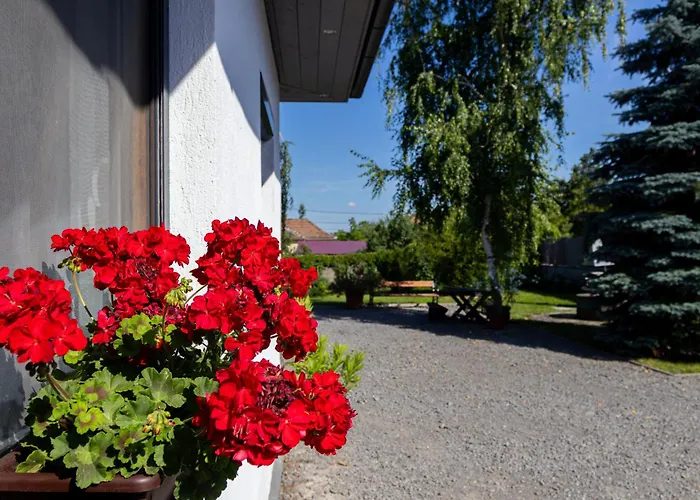 Apartament Kincso Vendeghaz Sárospatak